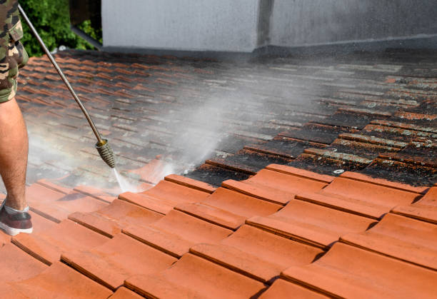Roof Power Washing Services in Clifton Heights, PA