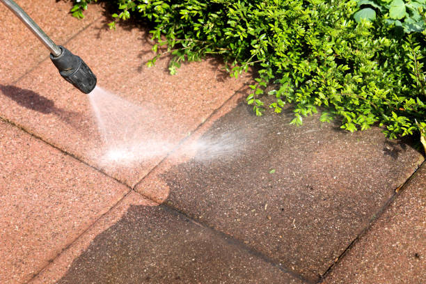 Best Exterior Home Cleaning  in Clifton Heights, PA